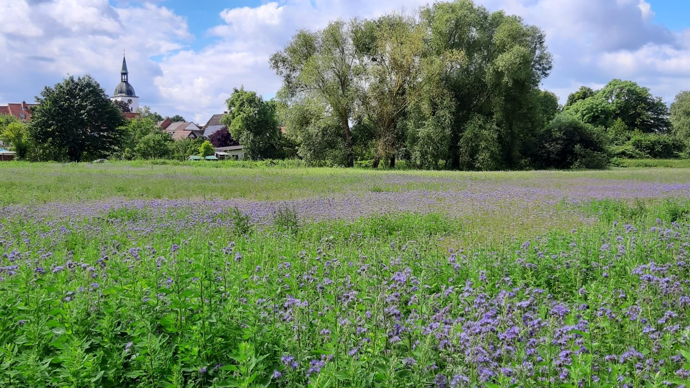 Startseite Startseite